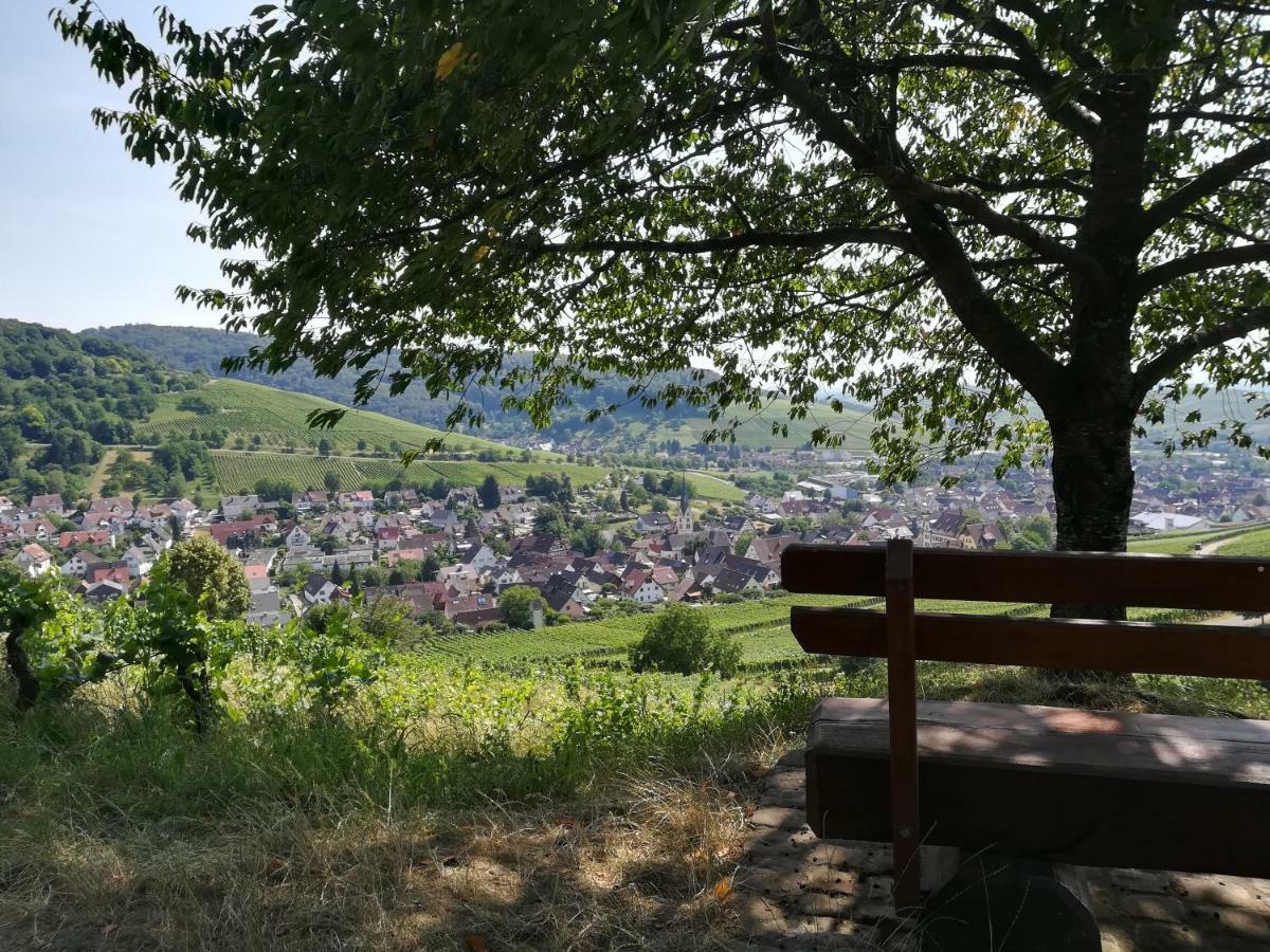 Apartment Schneeburg Ebringen Bagian luar foto