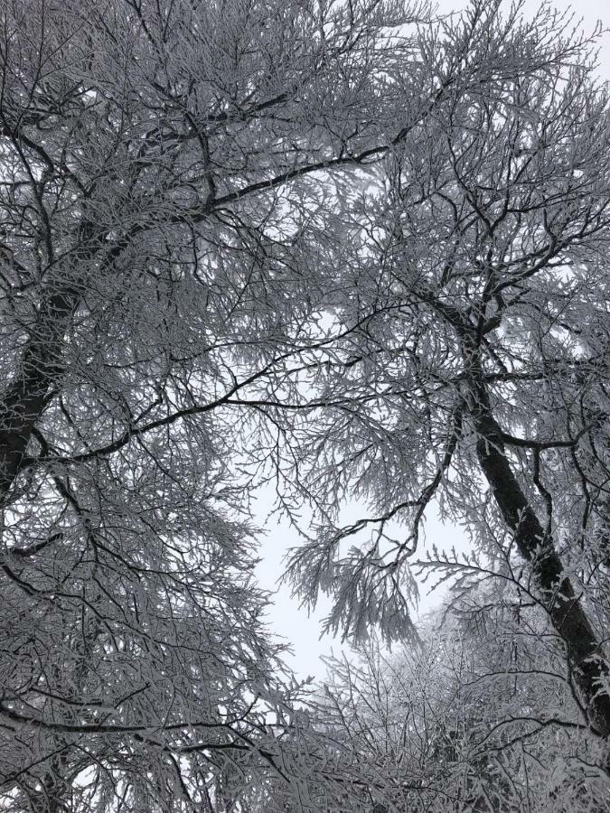 Apartment Schneeburg Ebringen Bagian luar foto